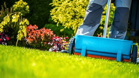 Should You Put Fertilizer Down Before It Rains?