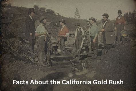 Yellow Gulch! A story of gold rush dreams and the unexpected dangers lurking within?